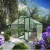 Greenhouse Orchidee III, moss green