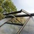 Greenhouse Novum IV, only polycarbonate, blank