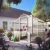 Greenhouse Rose III, blank